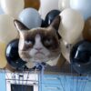 Сет из воздушных шаров с угрюмым котом