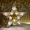 Светящаяся звезда для украшения праздника 90 см (аренда)