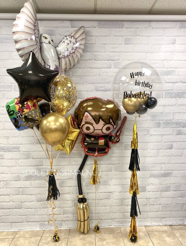 Набор шаров и фольгированных фигур на день рождения «Гарри Поттер и золотая метла»