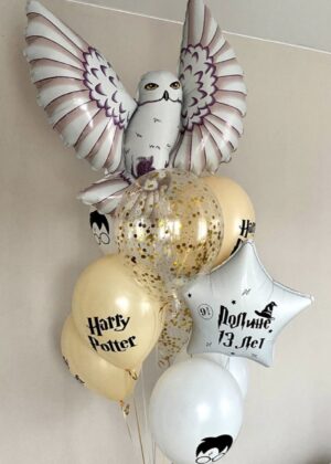 Набор шаров с совушкой «Гарри Поттер»
